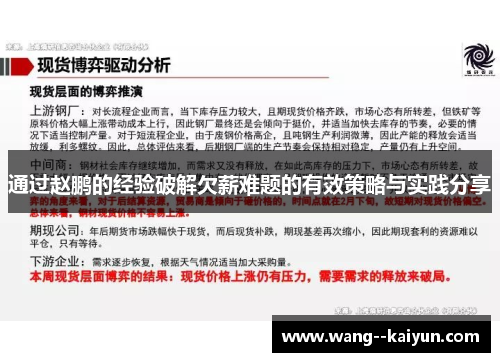 通过赵鹏的经验破解欠薪难题的有效策略与实践分享