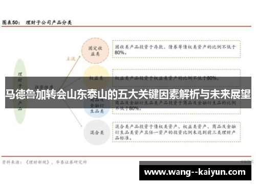马德鲁加转会山东泰山的五大关键因素解析与未来展望 马德鲁加转会山东泰山的五大关键因素解析与未来展望