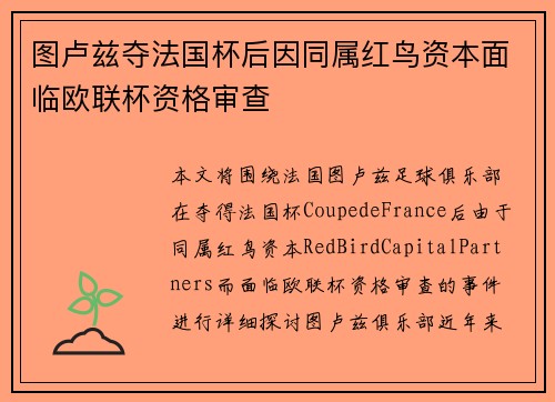 图卢兹夺法国杯后因同属红鸟资本面临欧联杯资格审查 图卢兹夺法国杯后因同属红鸟资本面临欧联杯资格审查
